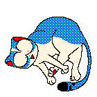 It's a cheerful little soul. Cheerful blue cat